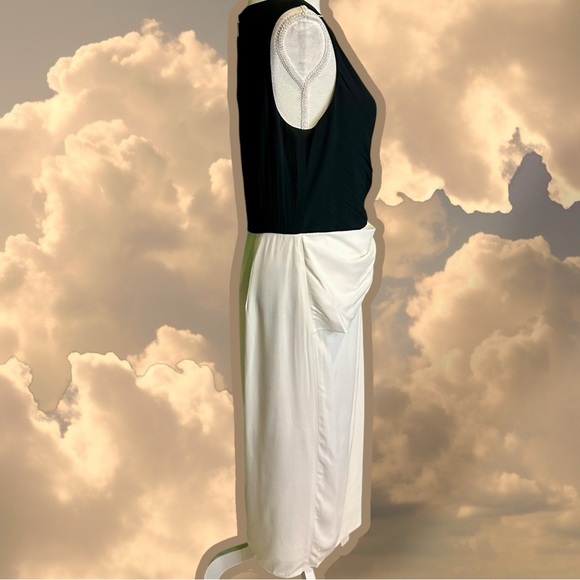 NWT Jason Wu Collection Two-Tone Crepe Sheath Dress in Black / Chalk - Picture 16 of 16